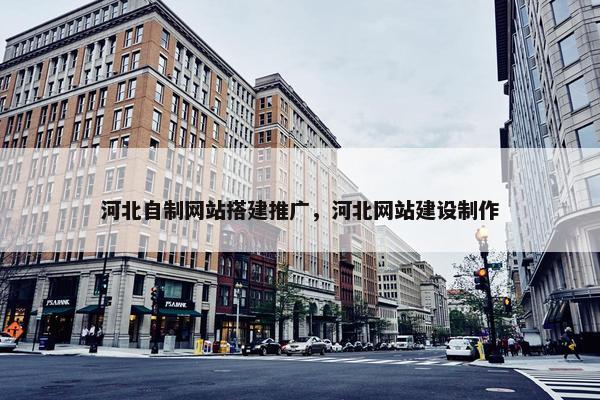 河北自制网站搭建推广，河北网站建设制作