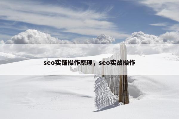seo实铺操作原理，seo实战操作