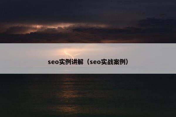 seo实例讲解（seo实战案例）