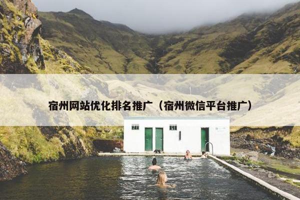 宿州网站优化排名推广（宿州微信平台推广）