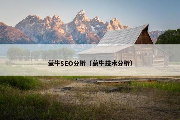 蒙牛SEO分析（蒙牛技术分析）
