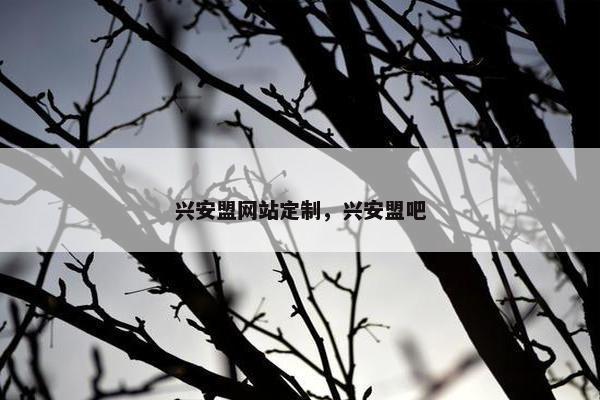 兴安盟网站定制，兴安盟吧
