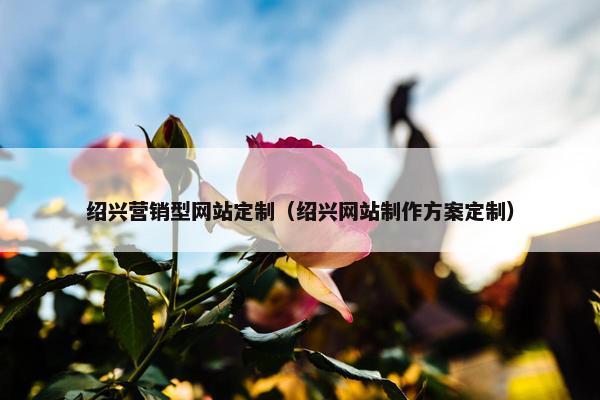 绍兴营销型网站定制（绍兴网站制作方案定制）