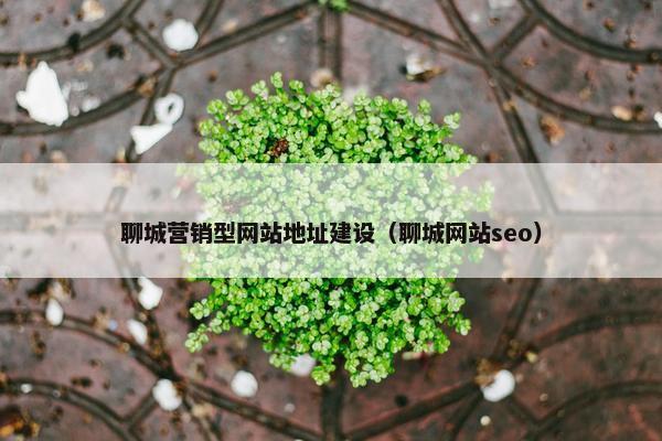 聊城营销型网站地址建设（聊城网站seo）