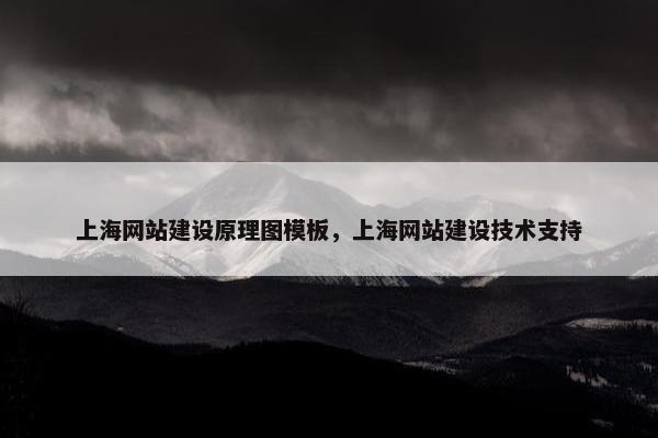 上海网站建设原理图模板，上海网站建设技术支持