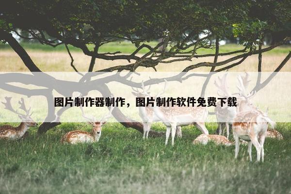 图片制作器制作，图片制作软件免费下载