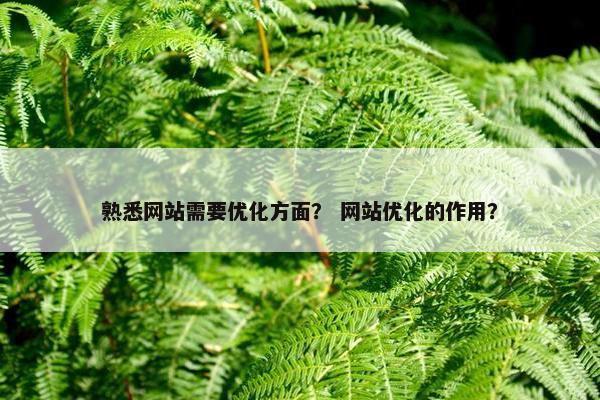 熟悉网站需要优化方面？ 网站优化的作用？