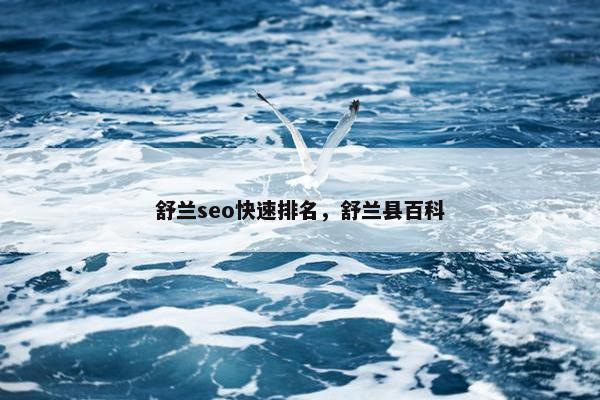 舒兰seo快速排名，舒兰县百科