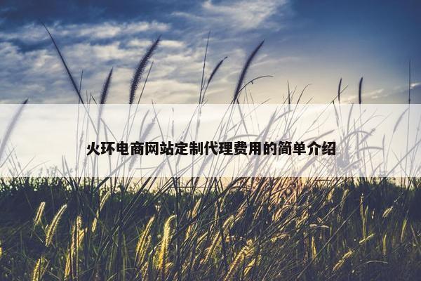 火环电商网站定制代理费用的简单介绍