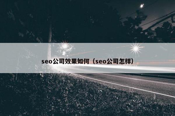 seo公司效果如何（seo公司怎样）