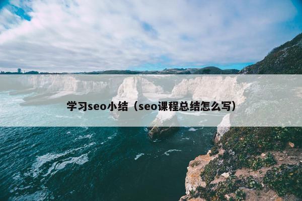 学习seo小结（seo课程总结怎么写）