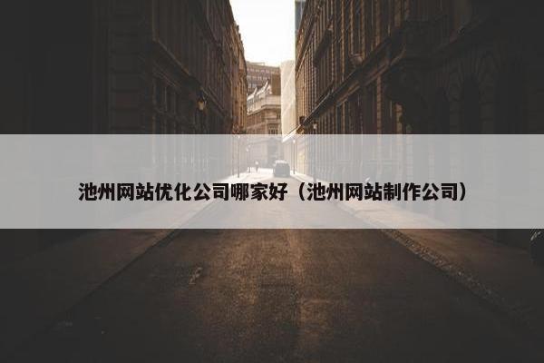 池州网站优化公司哪家好（池州网站制作公司）