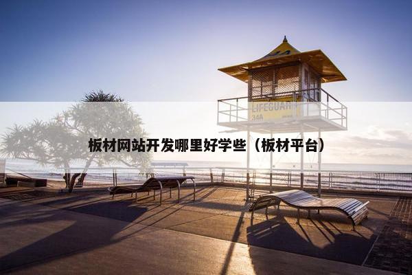 板材网站开发哪里好学些（板材平台）