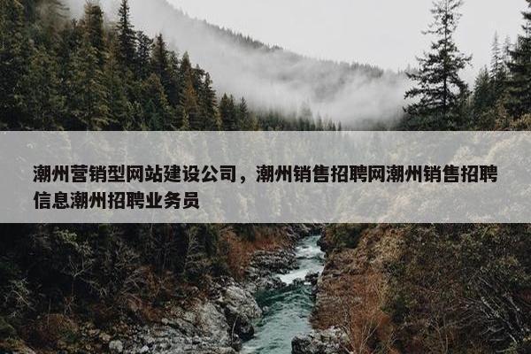 潮州营销型网站建设公司，潮州销售招聘网潮州销售招聘信息潮州招聘业务员
