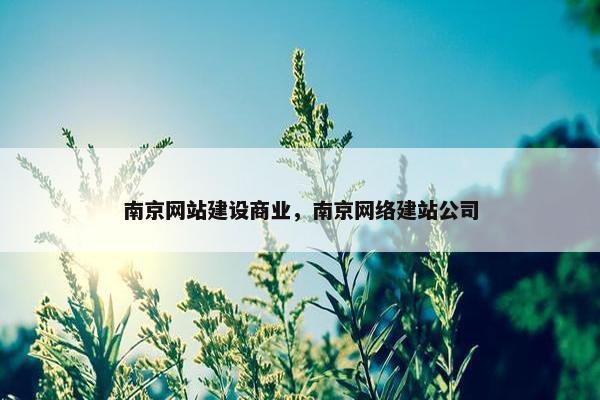 南京网站建设商业，南京网络建站公司
