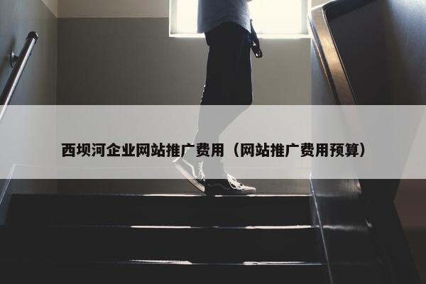 西坝河企业网站推广费用（网站推广费用预算）