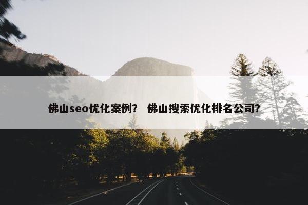 佛山seo优化案例？ 佛山搜索优化排名公司？