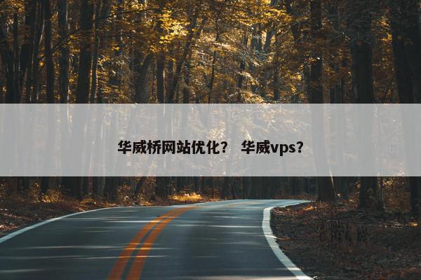 华威桥网站优化？ 华威vps？