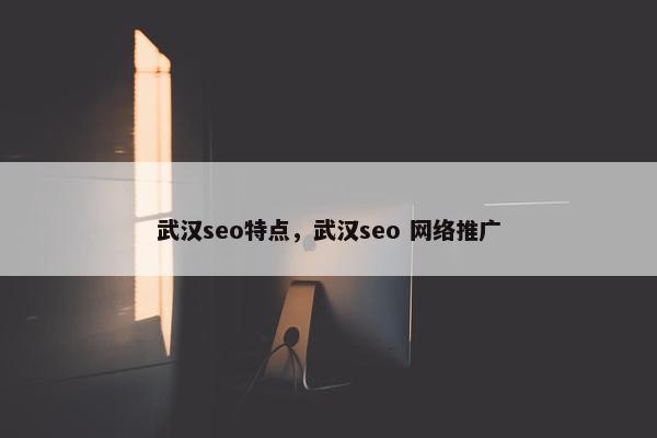 武汉seo特点，武汉seo 网络推广