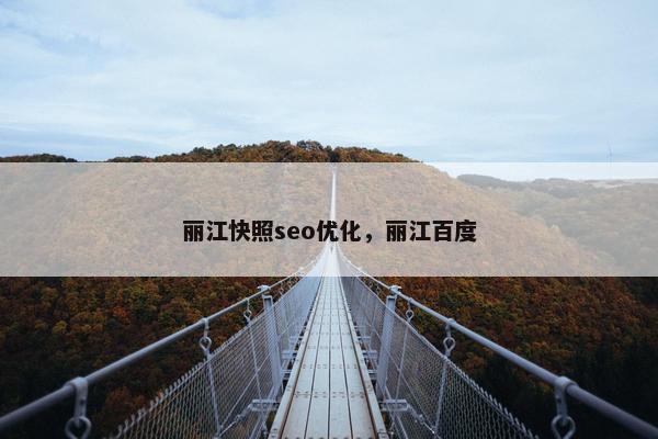 丽江快照seo优化，丽江百度