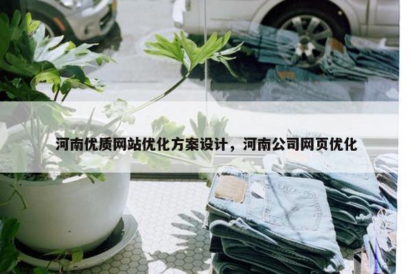 河南优质网站优化方案设计，河南公司网页优化