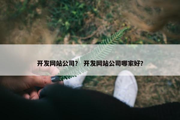开发网站公司？ 开发网站公司哪家好？
