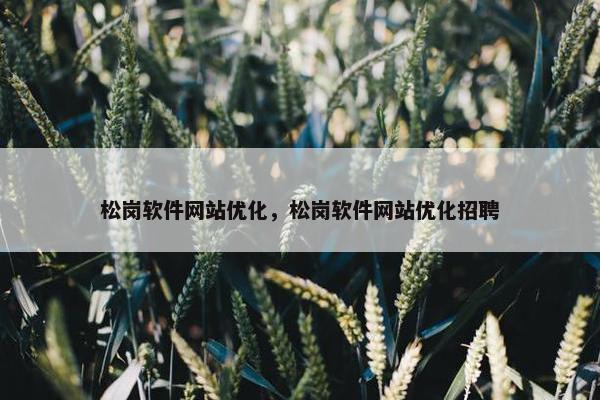 松岗软件网站优化，松岗软件网站优化招聘