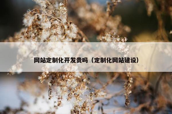 网站定制化开发贵吗（定制化网站建设）
