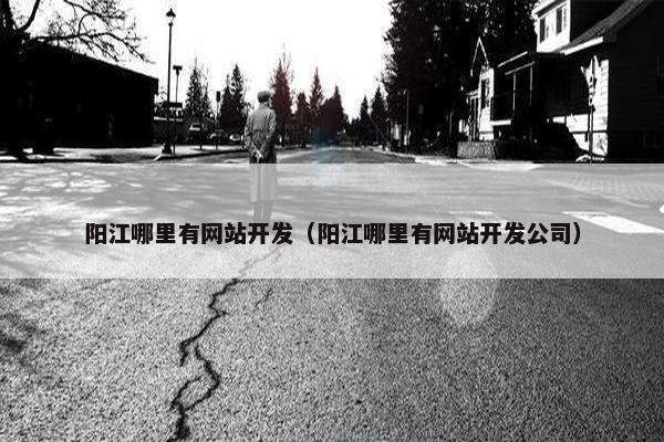 阳江哪里有网站开发（阳江哪里有网站开发公司）