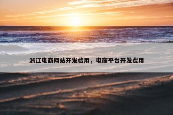浙江电商网站开发费用，电商平台开发费用