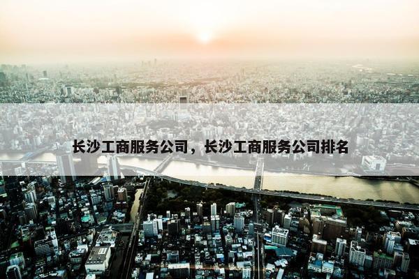 长沙工商服务公司，长沙工商服务公司排名