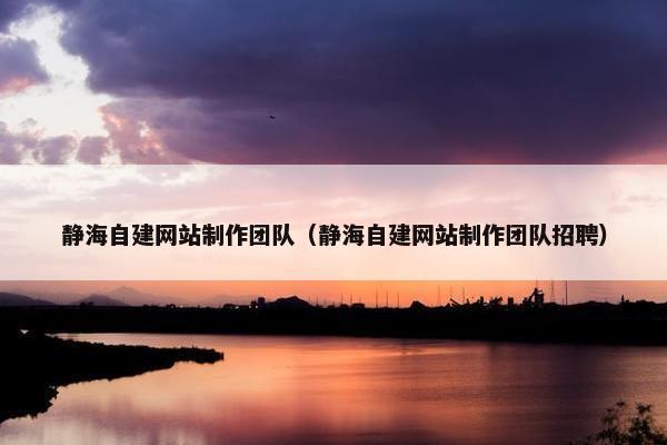 静海自建网站制作团队（静海自建网站制作团队招聘）