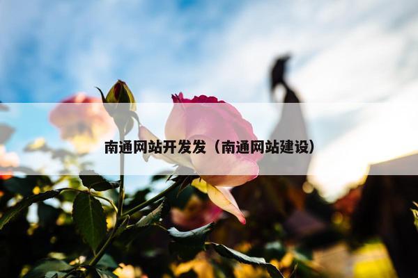 南通网站开发发（南通网站建设）