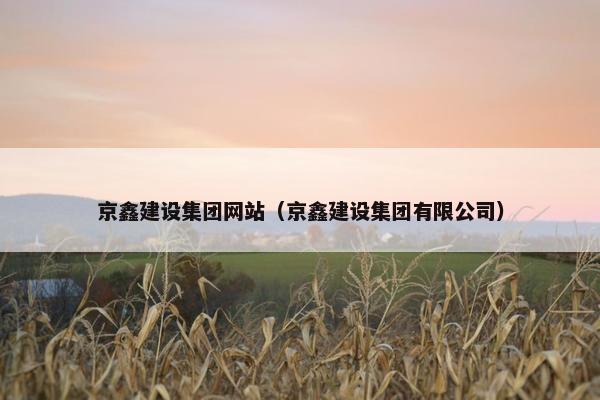京鑫建设集团网站（京鑫建设集团有限公司）