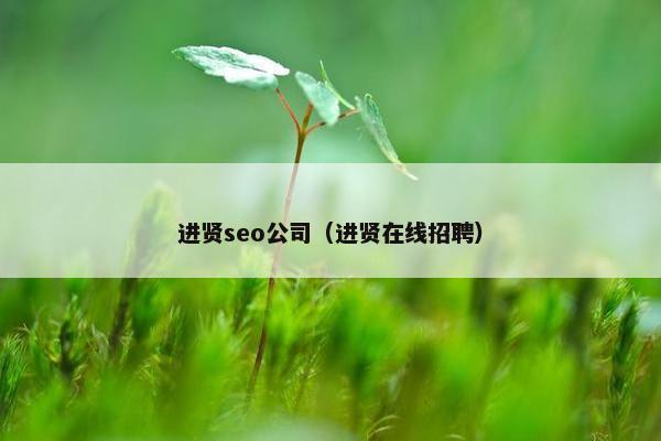 进贤seo公司（进贤在线招聘）