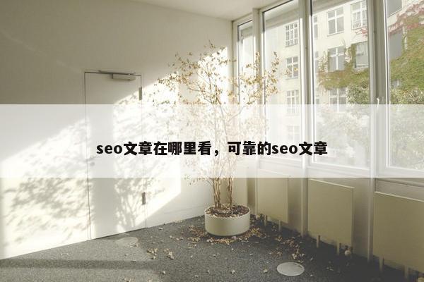 seo文章在哪里看，可靠的seo文章