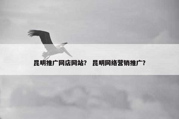 昆明推广网店网站？ 昆明网络营销推广？