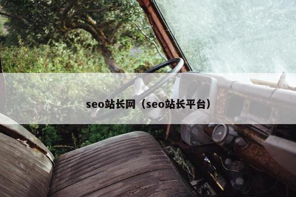 seo站长网（seo站长平台）