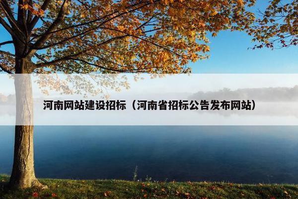 河南网站建设招标（河南省招标公告发布网站）
