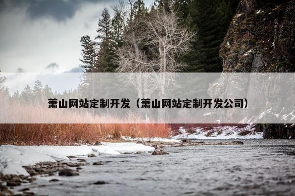 萧山网站定制开发（萧山网站定制开发公司）