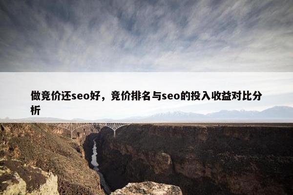 做竞价还seo好，竞价排名与seo的投入收益对比分析