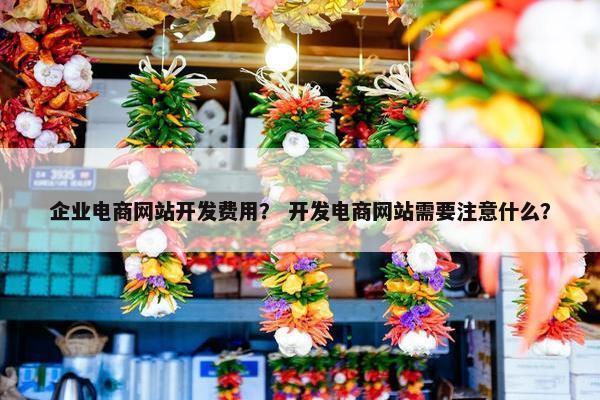 企业电商网站开发费用？ 开发电商网站需要注意什么？