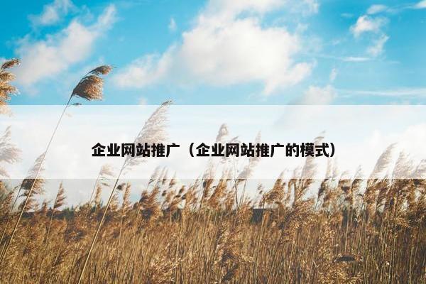 企业网站推广（企业网站推广的模式）