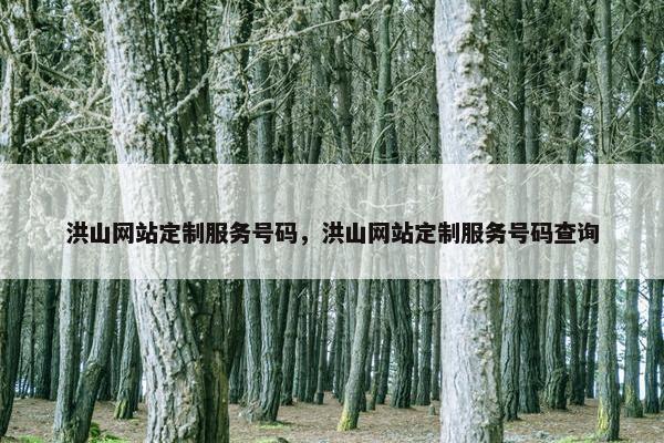 洪山网站定制服务号码，洪山网站定制服务号码查询