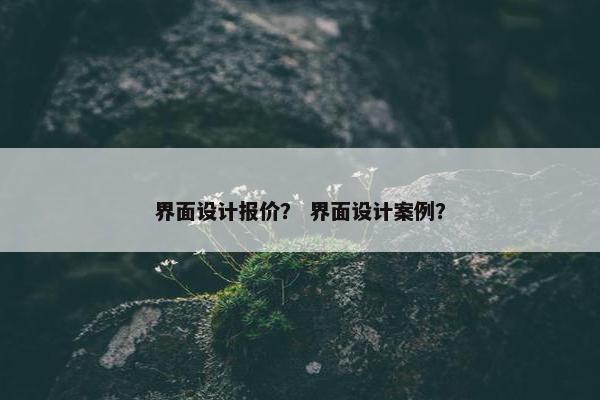 界面设计报价？ 界面设计案例？