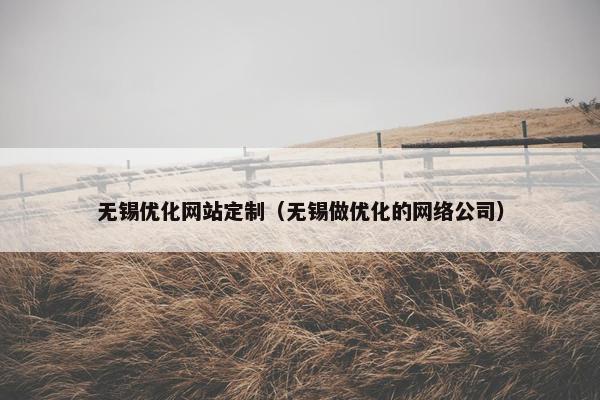无锡优化网站定制（无锡做优化的网络公司）