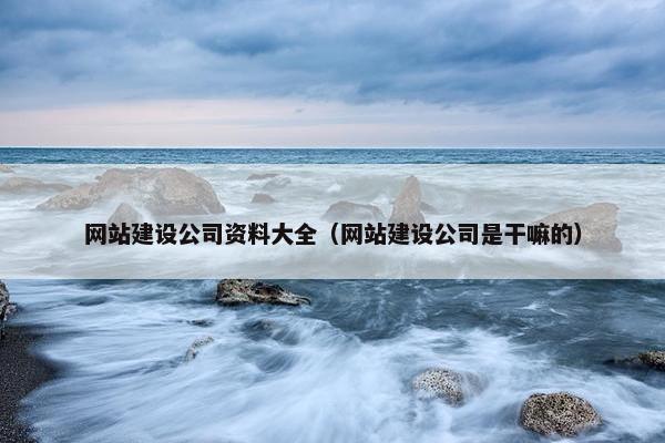 网站建设公司资料大全（网站建设公司是干嘛的）