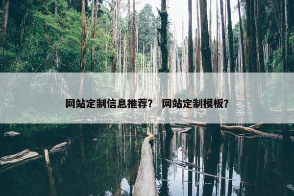 网站定制信息推荐？ 网站定制模板？