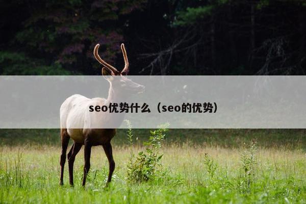 seo优势什么（seo的优势）