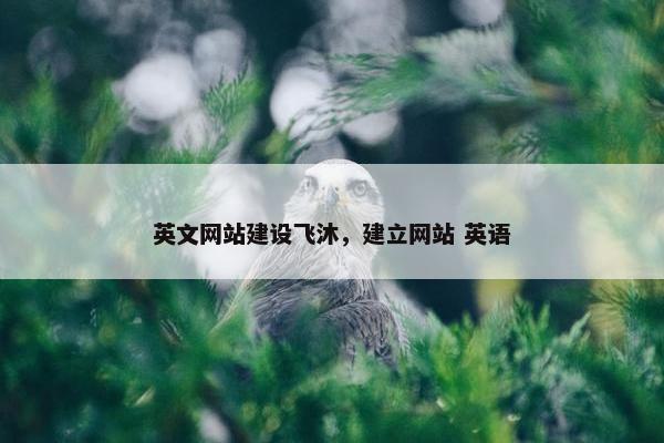 英文网站建设飞沐，建立网站 英语